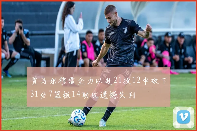 贾马尔穆雷全力以赴21投12中砍下31分7篮板14助攻遗憾失利